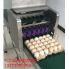 全国供应鸡蛋喷码机设备六头喷应更便捷