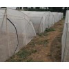 加厚加宽新料蚂蚱养殖网蝗虫养殖网批发直供耐氧化网罩网棚