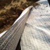 4500g膨润土防水毯 人工湖膨润土覆膜防水毯 定制防水毯