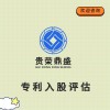 连云港市专利商标实缴评估股权价值评估知识产权评估