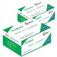 降钙素原（PCT）定量检测试剂生产厂家上海凯创生物 　