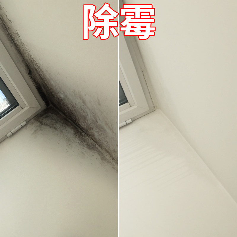 广州除霉公司，墙面天花板霉渍清除，全屋防霉