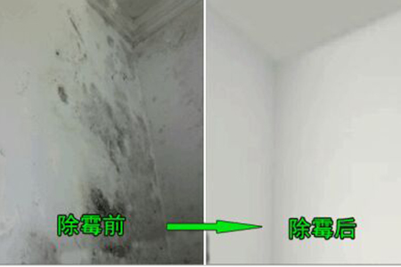 广州除霉公司，天花板墙面霉渍处理，全屋防霉