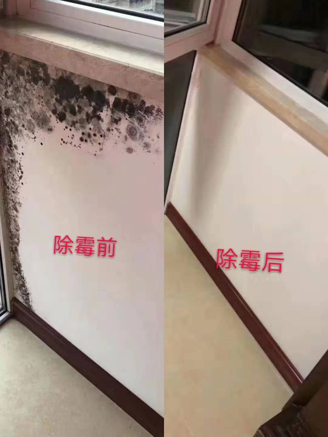 广州除霉公司，处理天花板霉斑，专业除霉杀菌